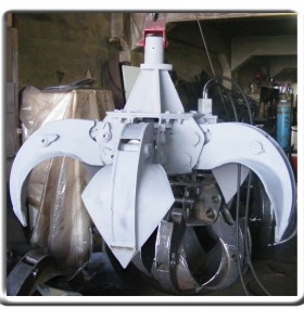 polip-kepce-7